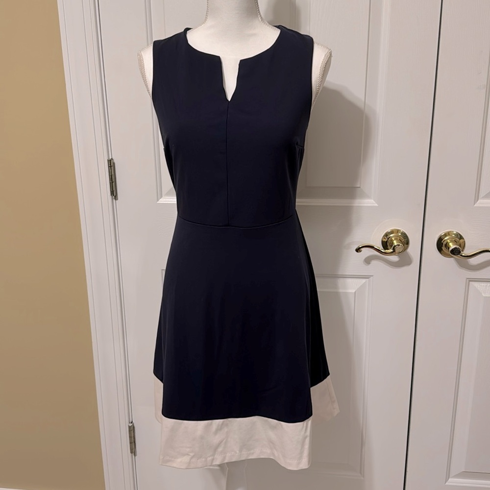 The Limited Sleeveless A-Line Midi Dress in Blue and White